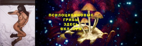герыч Богородск