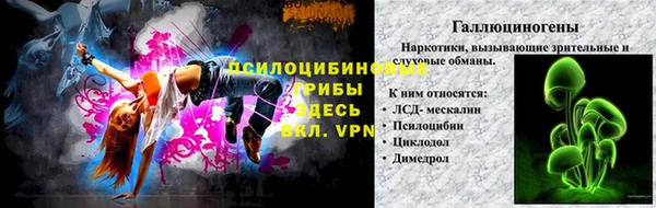 бошки Богородицк